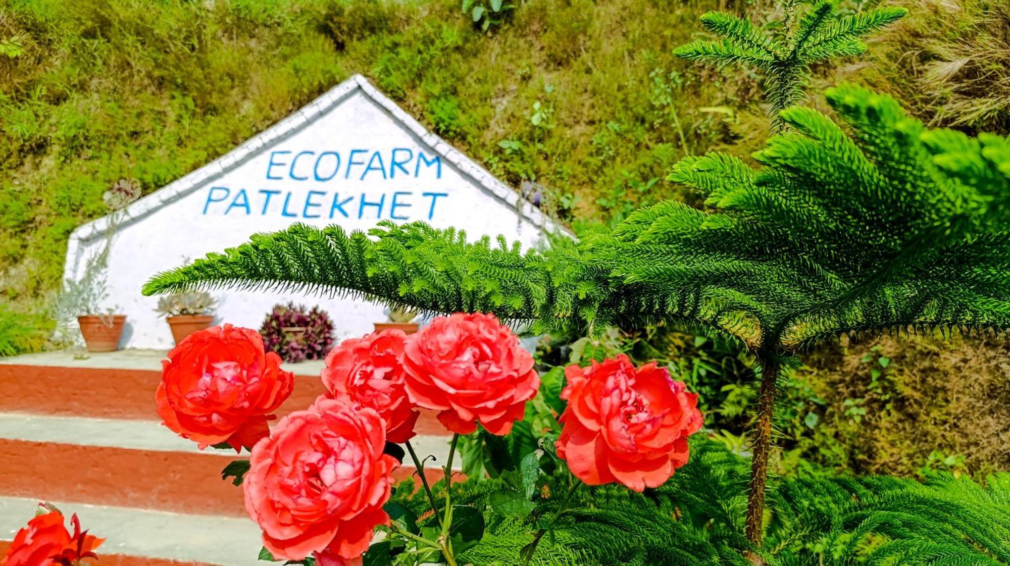 דוליקל Patlekhet Eco Farmhouse מראה חיצוני תמונה